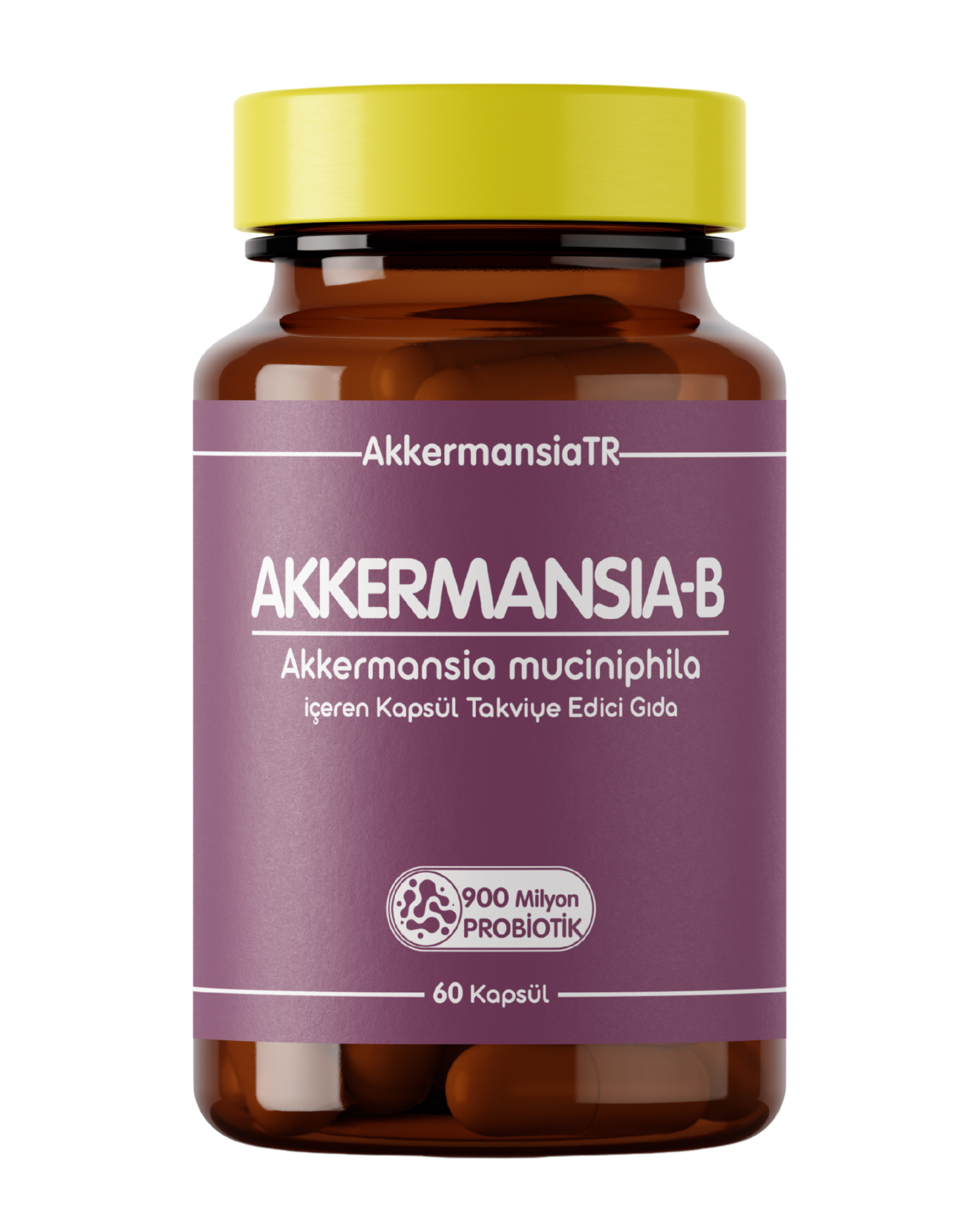Akkermansiam-B