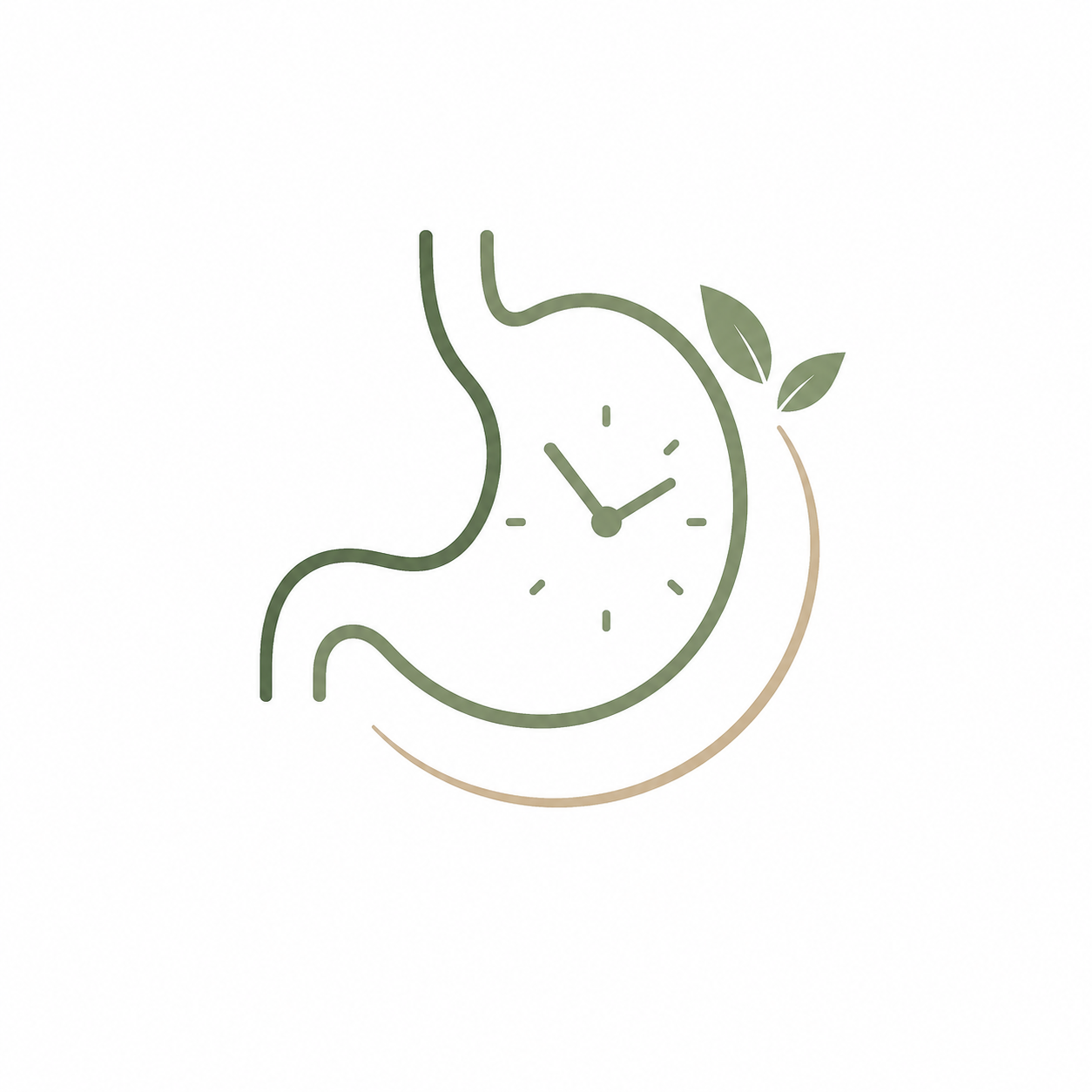 Sindirim Sağlığı (midebiosaati) Beslenme Programı