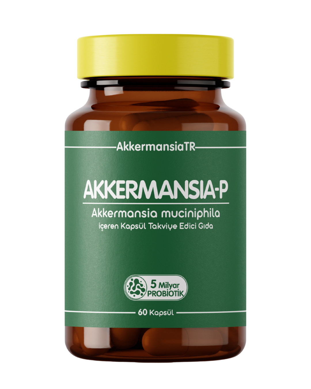 Akkermansia-P