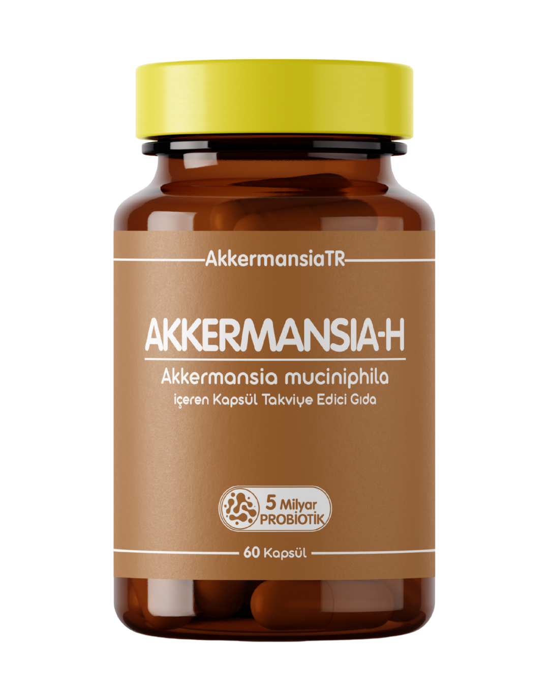 Akkermansia-H