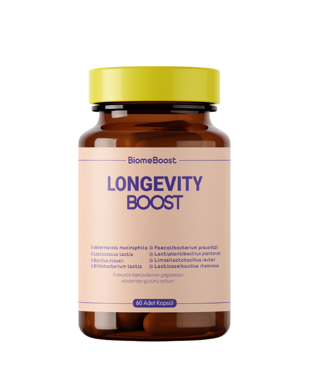 LongevityBoost